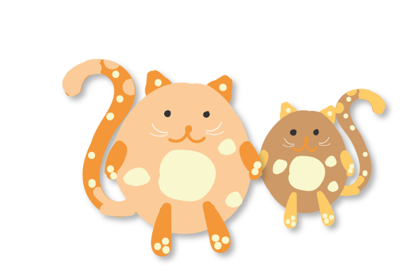 Ogłoszenie - Wolontariusze potrzebni są w kocim azylu!. Zdjęcie 1