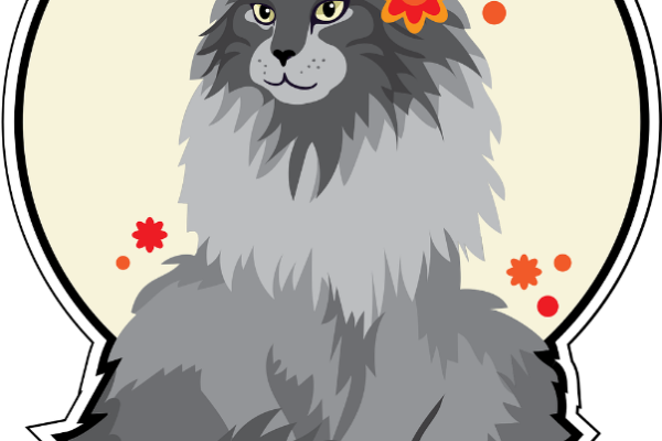 Ogłoszenie - Koty z azylu do bezpłatnej adopcji!. Zdjęcie 1