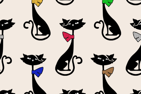 Ogłoszenie - Adoptuj bezpłatnie koty z azylu!. Zdjęcie 1