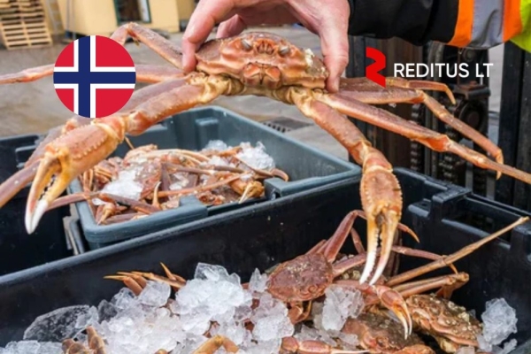 Ogłoszenie - Pracownicy produkcyjni (fabryka krabów śnieżnych) - praca w Norwegia (2013). Zdjęcie 1