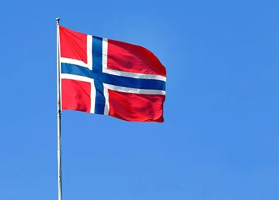 Ogłoszenie - Tłumaczenia dokumentów samochodowych z języka norweskiego. Zdjęcie 2