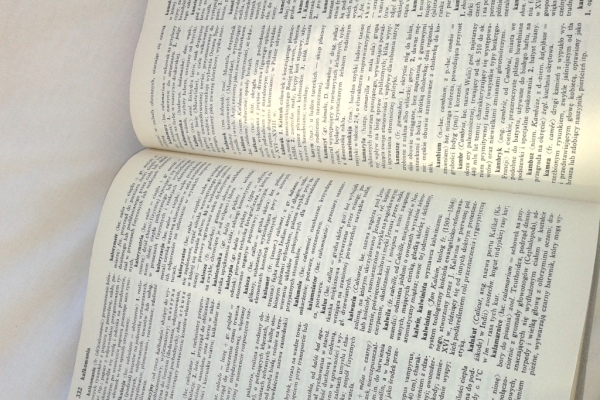 Ogłoszenie - SŁOWNIK WYRAZÓW OBCYCH PWN DRUK NRD. Zdjęcie 3