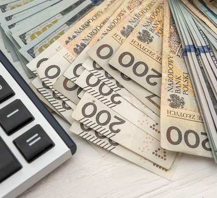 Ogłoszenie - Prywatne wsparcie dla naukowców i inicjatyw naukowych. Zdjęcie 1