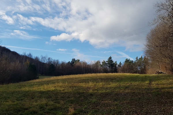 Ogłoszenie - Uzbrojona działka widokowa na wzgórzu – 3 min od Soliny + własny las!. Zdjęcie 4