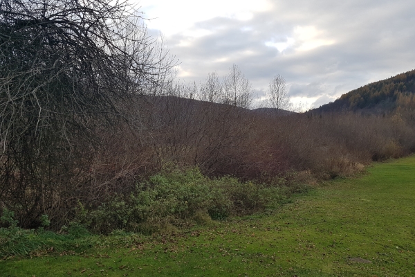Ogłoszenie - Uzbrojona działka w centrum Bóbrki obok Soliny, idealna pod parking!. Zdjęcie 4