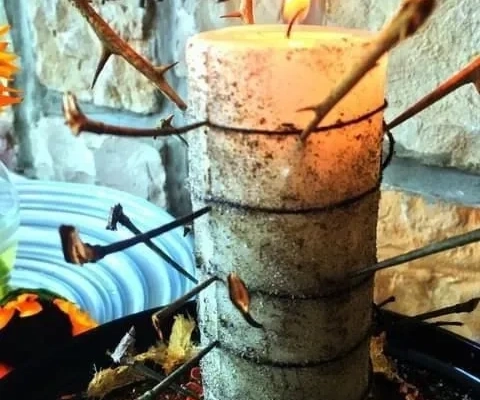 Ogłoszenie - SANGOMA ™ ✨+277*9029 *3623 ✨ ™ A TRADITIONAL HEALER /  SANGOMA / A SPELL CASTER AND A SPIRITUAL HEALER in East London ,. Zdjęcie 6