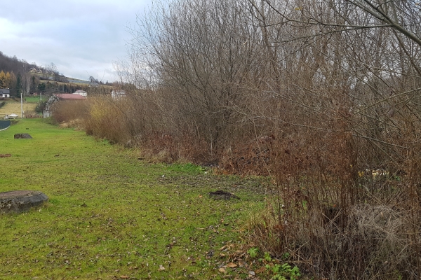 Ogłoszenie - Uzbrojona działka w centrum Bóbrki obok Soliny, idealna pod parking!. Zdjęcie 9