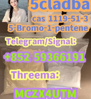 Ogłoszenie - 5-Bromo-1-pentene 1119-51-3 5cladba. Zdjęcie 1