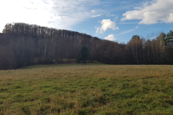 Ogłoszenie - Uzbrojona działka widokowa na wzgórzu – 3 min od Soliny + własny las!. Zdjęcie 8