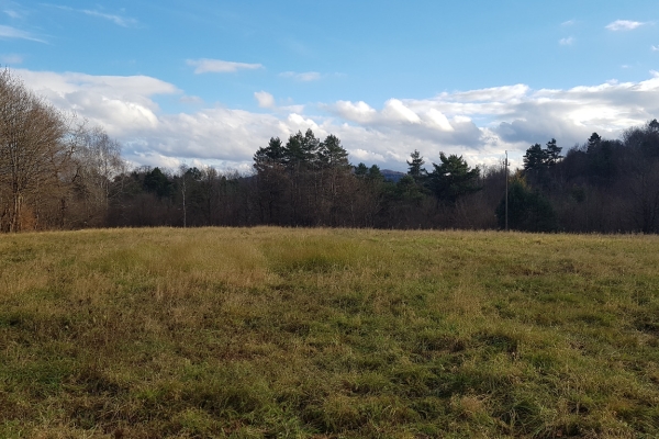 Ogłoszenie - Uzbrojona działka widokowa na wzgórzu – 3 min od Soliny + własny las!. Zdjęcie 2