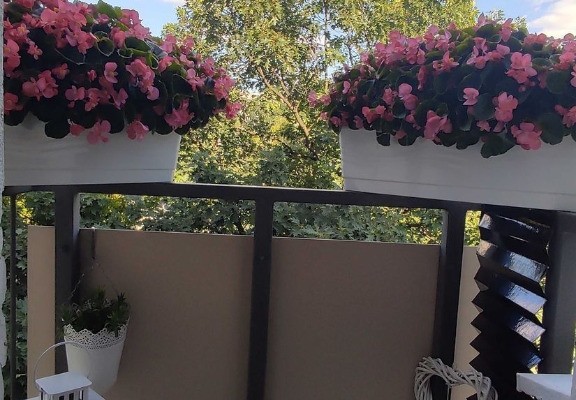 Ogłoszenie - 1pok, 20met, Okolice Sokolej BALKON (Wrocław). Zdjęcie 4