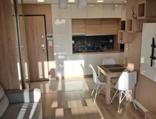 Ogłoszenie - 2pok, 45met, Okolice Magnolii BALKON/GARAŻ/WINDA (Wrocław). Zdjęcie 4