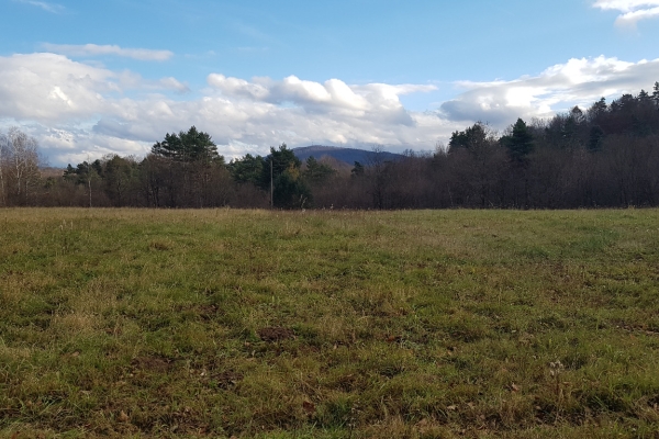 Ogłoszenie - Uzbrojona działka widokowa na wzgórzu – 3 min od Soliny + własny las!. Zdjęcie 6