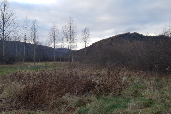 Ogłoszenie - Uzbrojona działka w centrum Bóbrki obok Soliny, idealna pod parking!. Zdjęcie 5