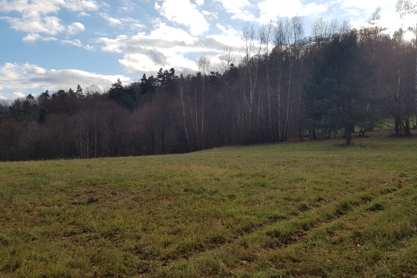 Ogłoszenie - Uzbrojona działka widokowa na wzgórzu – 3 min od Soliny + własny las!. Zdjęcie 7