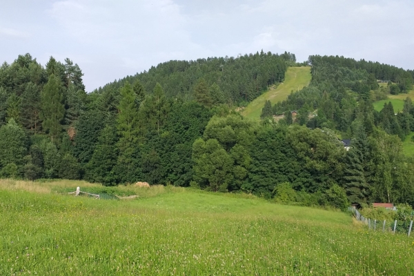 Ogłoszenie - Działka budowlana z panoramicznym widokiem na okolicę i Tatry.. Zdjęcie 9