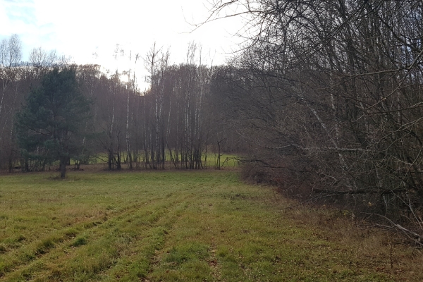 Ogłoszenie - Uzbrojona działka widokowa na wzgórzu – 3 min od Soliny + własny las!. Zdjęcie 3