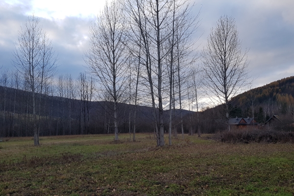 Ogłoszenie - Uzbrojona działka w centrum Bóbrki obok Soliny, idealna pod parking!. Zdjęcie 6