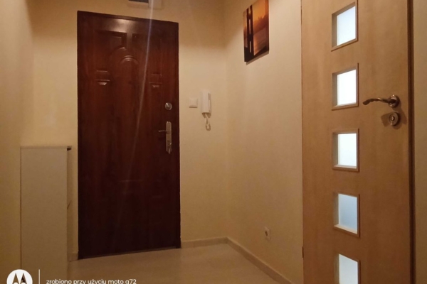 Ogłoszenie - 1pok, 39met, okolice Magnolii BALKON/PIWNICA/WINDA (Wrocław). Zdjęcie 7