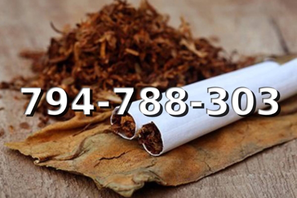 Ogłoszenie - EXTRA Tani Tytoń na wagę PREMIUM 110 PLN / 1KG. Zdjęcie 1