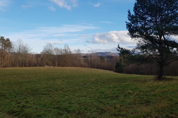 Ogłoszenie - Uzbrojona działka widokowa na wzgórzu – 3 min od Soliny + własny las!. Zdjęcie 1