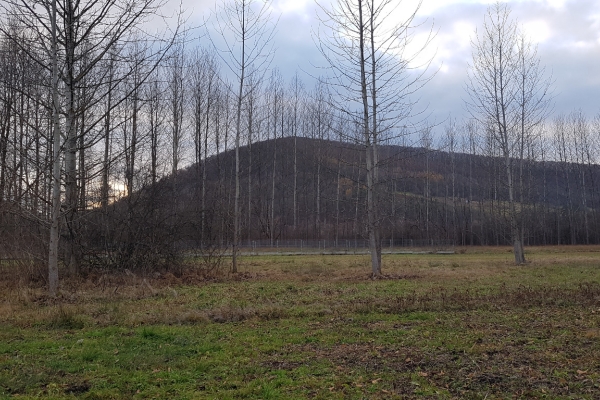 Ogłoszenie - Uzbrojona działka w centrum Bóbrki obok Soliny, idealna pod parking!. Zdjęcie 7