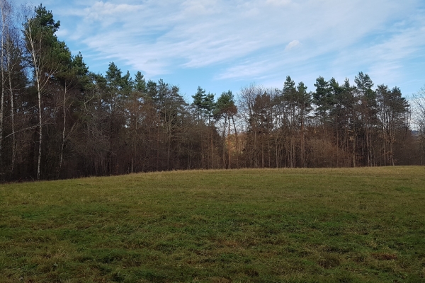 Ogłoszenie - Uzbrojona działka widokowa na wzgórzu – 3 min od Soliny + własny las!. Zdjęcie 5