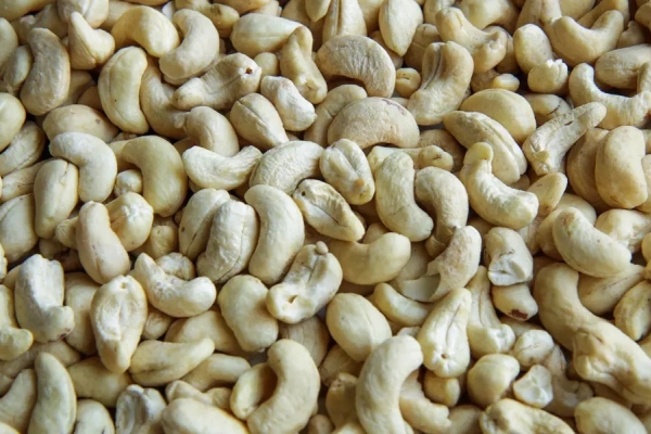 Ogłoszenie - Sprzedam surowe orzechy nerkowca. Zdjęcie 2