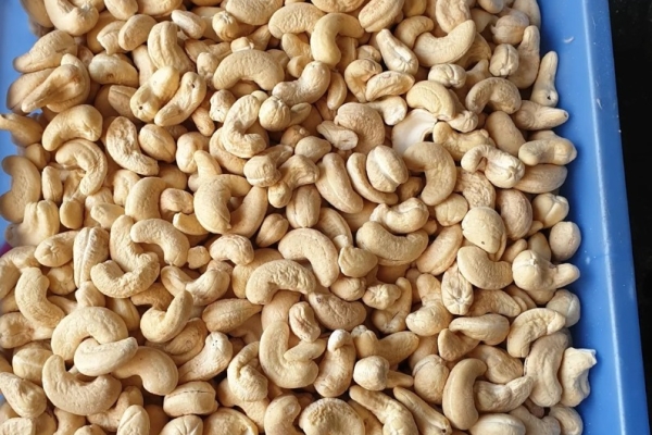 Ogłoszenie - Sprzedam surowe orzechy nerkowca. Zdjęcie 1