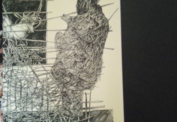 Ogłoszenie - Książka. Zdjęcie 1