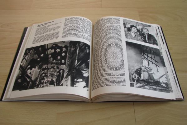 Ogłoszenie - 100 filmów włoskich, Hanna Książek-Konicka. Zdjęcie 6