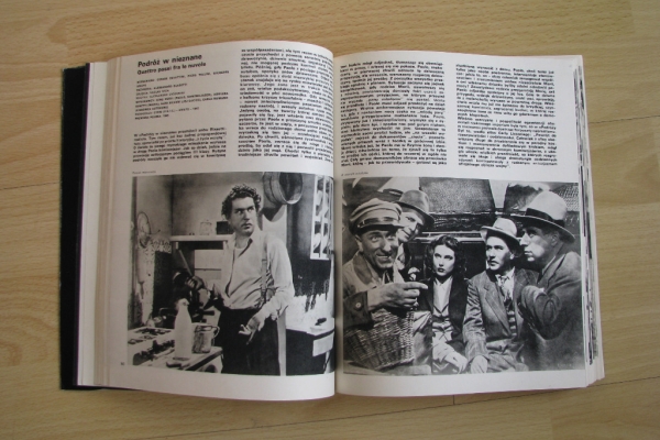 Ogłoszenie - 100 filmów włoskich, Hanna Książek-Konicka. Zdjęcie 9