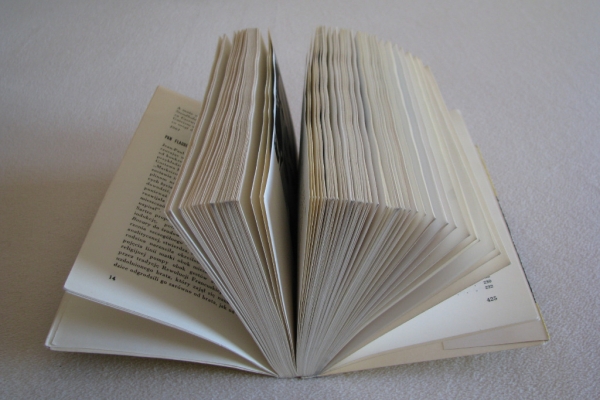 Ogłoszenie - Niebezpieczne związki, literatury i filmu, Aleksander Jackiewicz. Zdjęcie 6