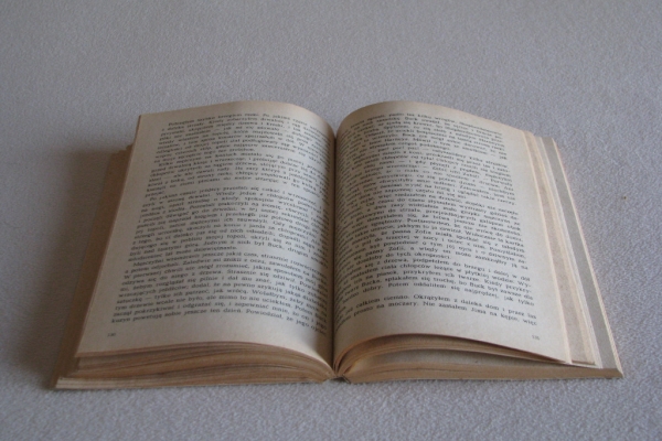 Ogłoszenie - Przygody Hucka, Mark Twain. Zdjęcie 7