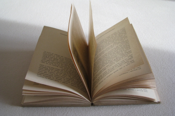 Ogłoszenie - Ivanhoe, Walter Scott. Zdjęcie 8