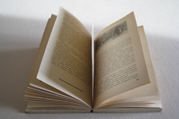 Ogłoszenie - Ivanhoe, Walter Scott. Zdjęcie 7