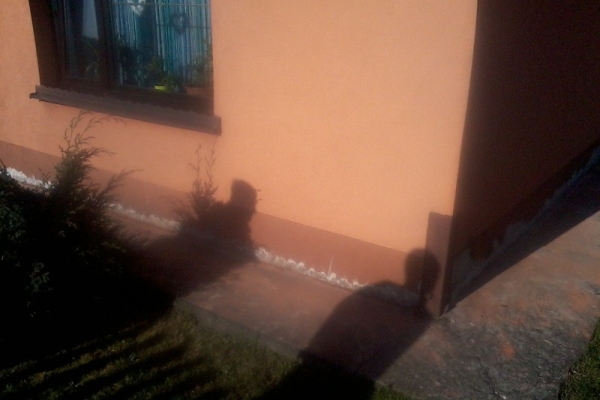 Ogłoszenie - Izolacje i osuszanie budynków - piwnice, fundamenty | Śląsk, Małopolska. Zdjęcie 1