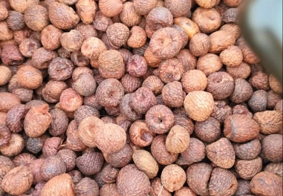 Ogłoszenie - Sprzedajemy suszone orzechy betelowe / orzechy arekowe. Zdjęcie 3