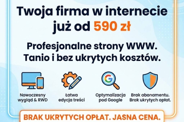 Ogłoszenie - Strona internetowa już od 590 zł - BEZ PRZEPŁACANIA!. Zdjęcie 1