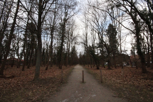 Ogłoszenie - 1pok, 24met, okolice Parku Prackiego TARAS/PO REMONCIE (Wrocław). Zdjęcie 10