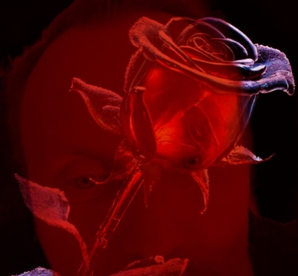 Ogłoszenie - Pan szuka Kobiety z klasą. Zdjęcie 2