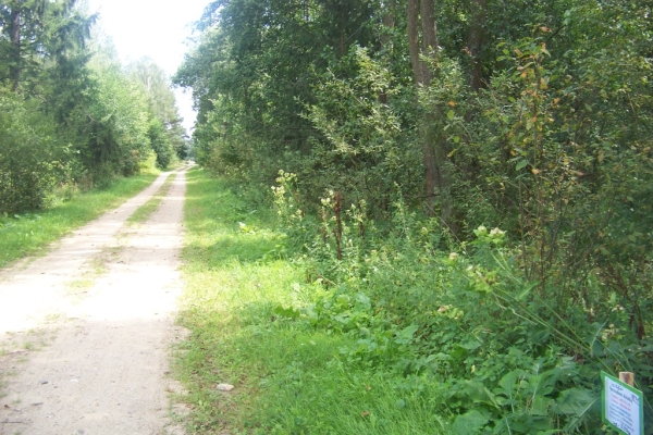 Ogłoszenie - Sprzedam działkę. Zdjęcie 1