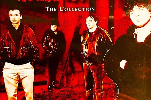 Ogłoszenie - Polecam Album CD Zespół Rock-Hip-Hopowy PLACEBO -Album Placebo. Zdjęcie 6