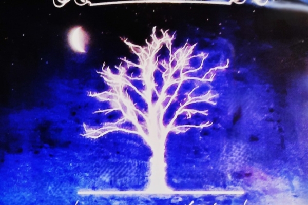 Ogłoszenie - CD Nowy Polecam Album CD Zespołu ONE REPUBLIC -Album- Dreaming Out Loud l. Zdjęcie 1