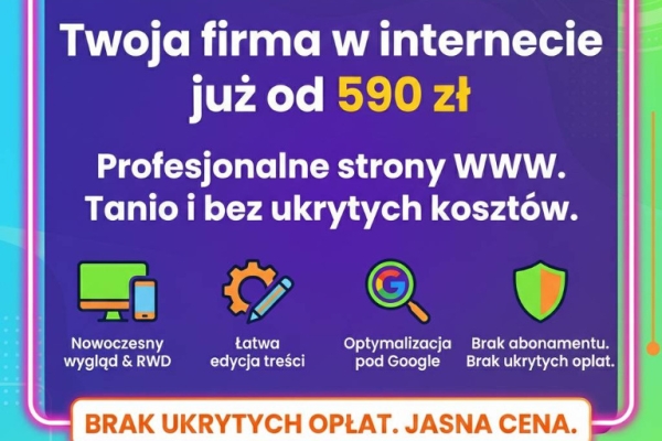 Ogłoszenie - Strona internetowa już od 590 zł - BEZ PRZEPŁACANIA!. Zdjęcie 2