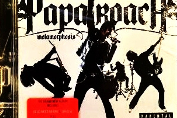 Ogłoszenie - Polecam Album CD Zespół Rock-Hip-Hopowy PLACEBO -Album Placebo. Zdjęcie 9