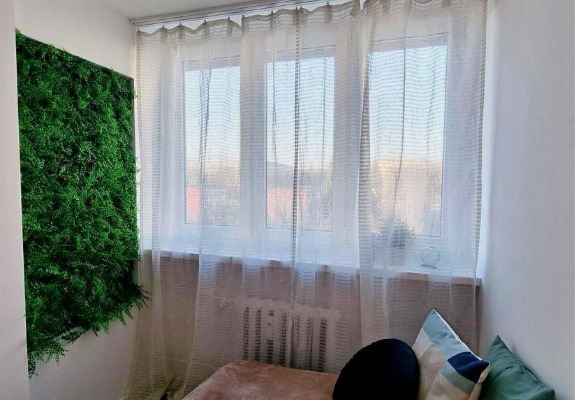 Ogłoszenie - 2pok, 32met, okolice Placu Legionów PO REMONCIE/BALKON (Wrocław). Zdjęcie 4