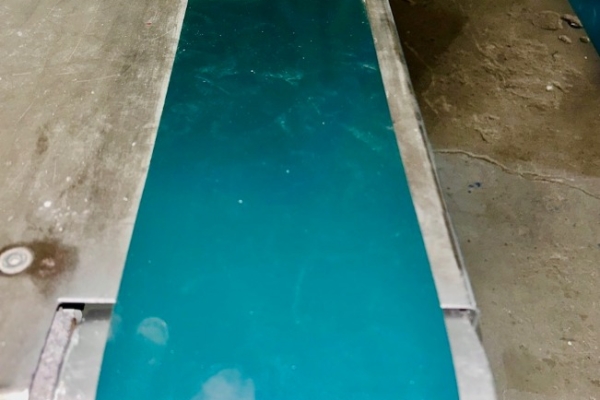 Ogłoszenie - Automat do lakierowania listew MAKOR CSP4. Zdjęcie 1