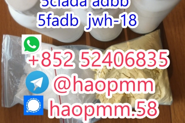 Ogłoszenie - 5cladb 5cladba raw materials MDMB-4en-PINACA 5F-adb jwh-018 free sample. Zdjęcie 1