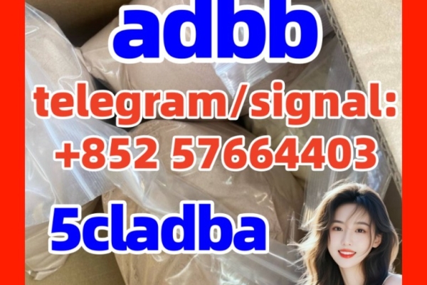 Ogłoszenie - BUY 5CLADBA, 5CL-ADB A, 6CLADBA ,6CL-ADB A, 5F-ADB. 4F-ADB Cannabinoids 1119-51-3 68-12-2 dmf. Zdjęcie 1